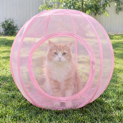 Cat Sphere