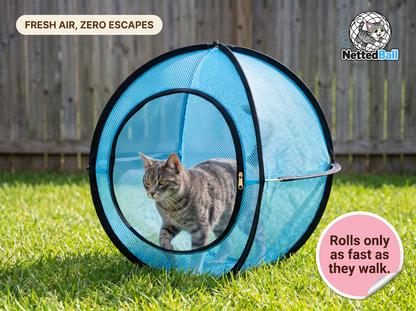 Cat Sphere