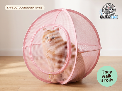 Cat Sphere