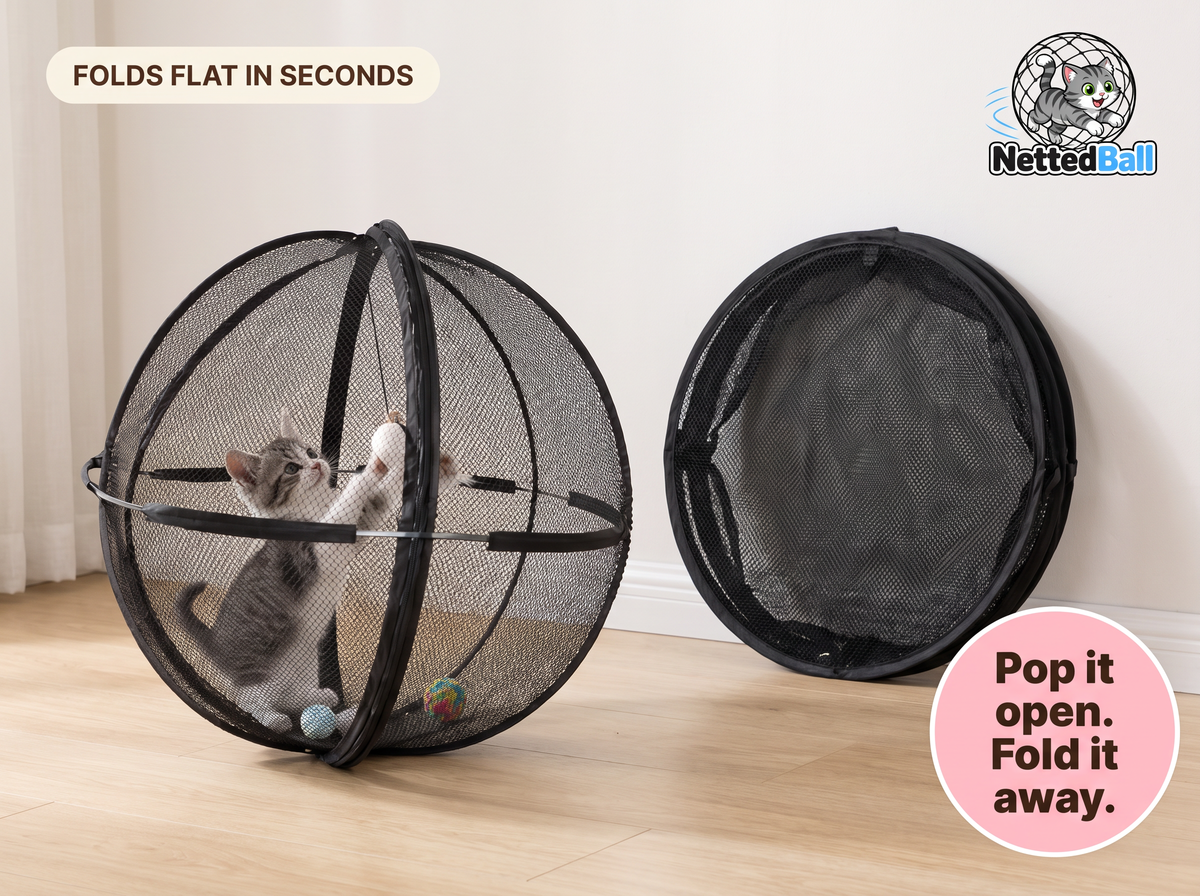 Cat Sphere