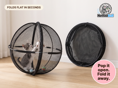 Cat Sphere
