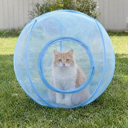 Cat Sphere