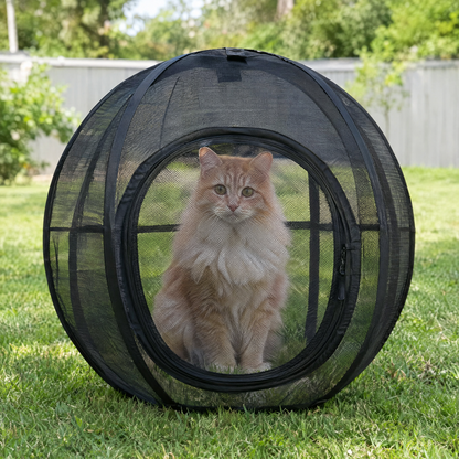 Cat Sphere